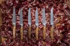 Wüsthof | Amici | Steakkés | 12 cm | Olajfa markolat