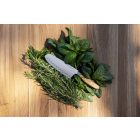 Amici | Santoku | 17 cm | Bordázott