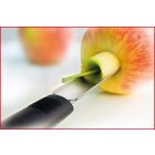 4245 | Silverpoint | Almamagozó | Kicsi